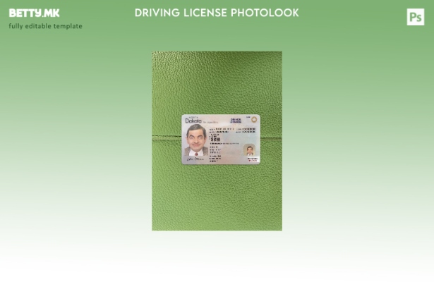 модерен стил на САД за возачка дозвола Северна Дакота, преден шаблон за фото изг